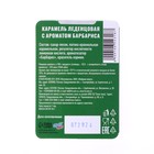 Новый год. Леденцы "С Новым Годом 2025", со вкусом барбариса, 16 г 10654318 - фото 13288962