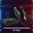 Микрофон проводной Оклик SM-600G 2.5м черный - Фото 2