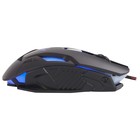 Мышь Acer OMW125 черный оптическая (3200dpi) USB (6but) - фото 51645817 Мышь Acer OMW125 черный оптическая (3200dpi) USB (6but) - фото 51645817