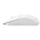 Мышь Acer OMW300 белый оптическая (1200dpi) USB (3but) - фото 51645826 Мышь Acer OMW300 белый оптическая (1200dpi) USB (3but) - фото 51645826