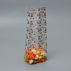 Пакет подарочный новогодний с жёстким дном, прозрачный, 6×8×23 см - Фото 1