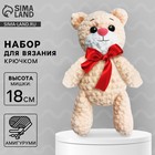 Набор для вязания крючком. Амигуруми: мягкая игрушка своими руками «Мишка Тимофей», 18 см - Фото 1