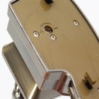 Зажигалка настольная с пепельницей, газовая «Дельфин» - Фото 4