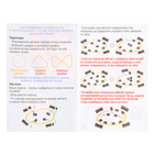 Настольная игра на логику Лас Играс KIDS «Магнитариум», от 2 игроков, 12+ - Фото 6