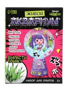 Набор для опытов «Живой аквариум: Аниме», вырасти травку - Фото 17