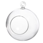 Набор для опытов «Живой аквариум: Аниме», вырасти травку - Фото 8