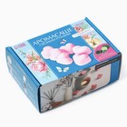 Аромасаше своими руками. Набор для создания ароматической фигурки из соевого воска «Розовые сердечки» - Фото 9