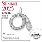 Новый год! Символ года 2025! Брошь «Змея» в клубке, цвет белый в серебре - фото 322083122