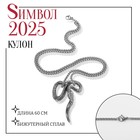 Новый год! Символ года 2025! Кулон «Змея», цвет серебро, 60 см - фото 322083348