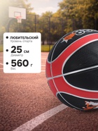 Мяч баскетбольный MINSA 8800, клееный, 8 панелей, р. 7, резина, резиновая камера, МИКС - Фото 4