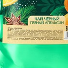 Новый год! Чай чёрный в дой-паке, пряный апельсин «Тепла и уюта», 50 г 10429564 - фото 13290671