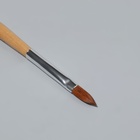 Кисть для наращивания и дизайна ногтей, лепесток, 19.5 см, бежевая - Фото 2