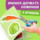 Книжка - вырезалка «Мои первые вырезалки. Контуры», 3 уровень, 43 картинки, 3+ - Фото 3