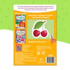 Книжка - вырезалка «Мои первые вырезалки. Контуры», 3 уровень, 43 картинки, 3+ - Фото 6