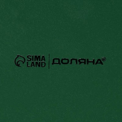 Блинница новогодняя Доляна «Приближение чуда», d=23 см, доломит, белая