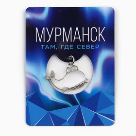 Магнит «Мурманск», 6 х 8 см 10188045