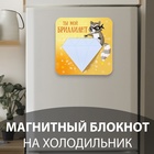 Магнит на холодильник с блоком для записей «Ты мой бриллиант», 12×12 см - Фото 1