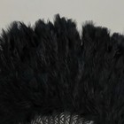 Веер пластик, перо "Чёрный" h=26 см 25 лопастей 3х50х26 см - фото 808065077