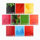 Тетради предметные, 48 л., набор из 10 шт. «Школьные предметы» - Фото 4