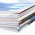 Тетради предметные, 48 л., набор из 10 шт. «Предметы» - Фото 2