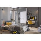 Шкаф однодверный Зефир, 40 х 42,2 х 190, белое дерево/черный муар/серый эмаль - Фото 5