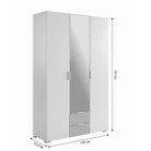 Шкаф трехдверный Зефир, 120 х 42,2 х 190, белое дерево/серый эмаль - фото 14509064