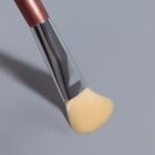 Набор кистей для макияжа PASTEL BLUSH, 5 шт., розовый - Фото 5