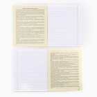 Тетрадь в линейку, предметная, 48 л., на скрепке, А5 «Яркий. Литература» - Фото 3