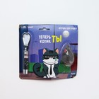 Игрушка для кошек лазер+мышь «Теперь котик ты» - Фото 1