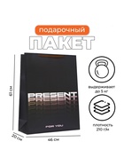 Пакет подарочный ламинированный Present, XXL 46×61×20 см - Фото 1