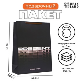 Пакет ламинированный  "Present", XXL  46 х 61 х 20 см 10332203