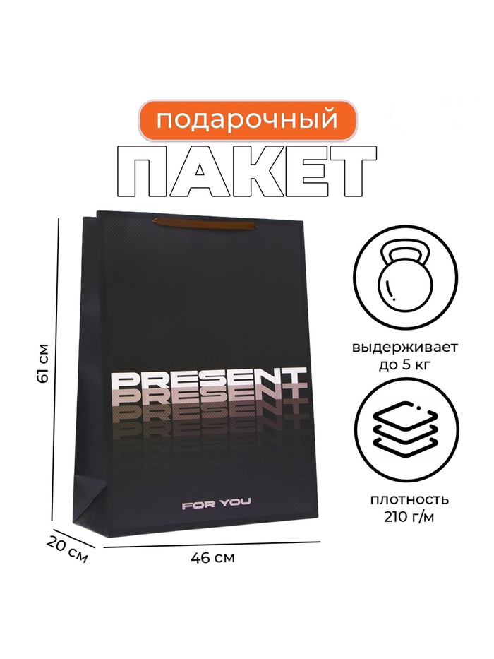 Пакет подарочный ламинированный Present, XXL 46×61×20 см - Фото 1