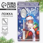 Ложка сувенирная на открытке «Новогодняя коллекция: Чудес», 3 х 14 см 10403175 - фото 4035836