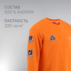 Свитшот РОСКОСМОС х ONLYTOP, р. XL, цвет оранжевый 10110737 - фото 85761