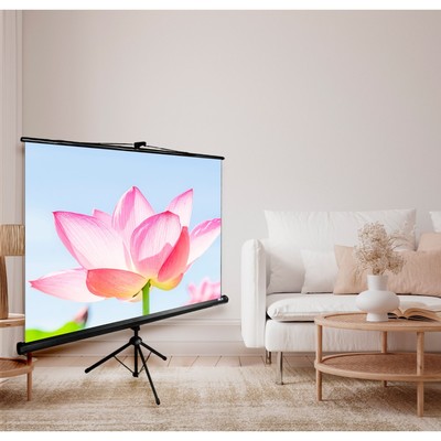 Экран Triscreen Cactus CS-PST-104×186, напольный рулонный, 104.4×186 см, 16:9, чёрный