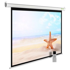 Экран Cactus 175x280см SIlverMotoExpert CS-PSSME-280X175-WT 16:10 настенно-потолочный рулон   107627