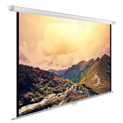 Экран WallExpert Cactus CS-PSWE-240×180-WT, настенно-потолочный рулонный, 180×240 см, 4:3