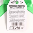 Леденец со вкусом яблока «Будущему миллионеру», 20 г - фото 808129409