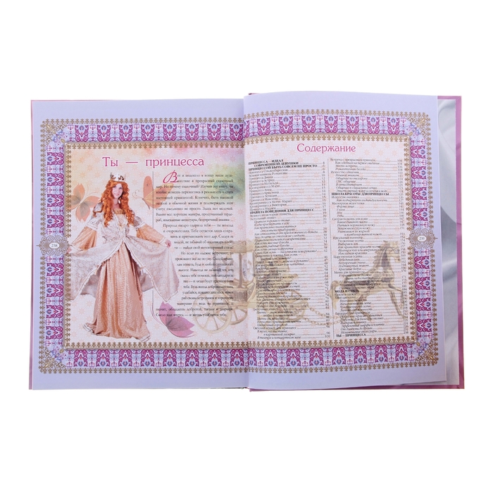 Принцесса принцесса книжка читать. Принцессы, книга для вас!. Книги про принцесс для девочек. Принцесса принцесса книга. Книги про принцесс подарочное издание.