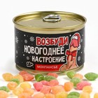 Монпансье в банке «Возбуди новогоднее настроение», 18+, 100 г 10515248 - фото 13293658