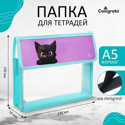 Папка для тетрадей, А5, пластиковая, 23×19×5 см «Котик черный»