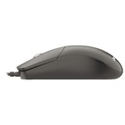 Мышь Acer OMW300 черный оптическая (1200dpi) USB (3but) - фото 51647108 Мышь Acer OMW300 черный оптическая (1200dpi) USB (3but) - фото 51647108