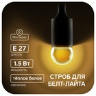 Лампа светодиодная строб, G45, E27, 1.5 Вт, для белт-лайта, т-белая, набор 10 шт. - фото 4071175