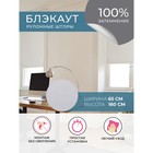 Рулонная штора Decofest «Блэкаут. Плайн», 65x160 см, цвет белый - Фото 6