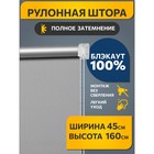 Рулонная штора Decofest «Блэкаут. Плайн», 45x160 см, цвет серый 10745239 - фото 310272672