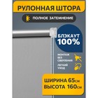 Рулонная штора Decofest «Блэкаут. Плайн», 65x160 см, цвет серый 10745242 - фото 310272698