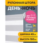 Рулонная штора Decofest «День/ночь. Бейс», 40x160 см, цвет морозный серый 10745279 - фото 310273124