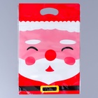 Пакет подарочный новогодний, с zip-lock застежкой, «Дед Мороз», 15×23±1 см - Фото 4