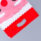 Пакет подарочный новогодний, с zip-lock застежкой, «Дед Мороз», 15×23±1 см - Фото 3