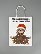Пакет крафт, "Тот год пережили и этот переживем",  27 х 21 х 11 см - фото 809234045 Пакет крафт, "Тот год пережили и этот переживем",  27 х 21 х 11 см - фото 809234045